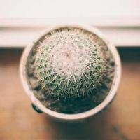 levi_futrell's profile picture. 