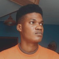 Oluwatobiloba omo Ola💎👑✨ (@freeborn_real) 's Twitter Profile Photo