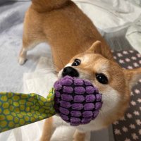 ルイヴィトン 空き瓶のセット【2本】 ルイヴィトン 空き瓶のセット【2本】 ルイヴィトン 空き瓶の