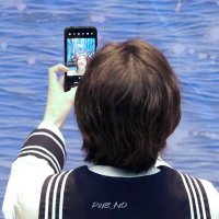 ᴍɪᴢᴜ (@shining_han1) 's Twitter Profile Photo