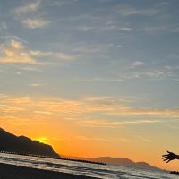 BiVN (@bivn98) 's Twitter Profile