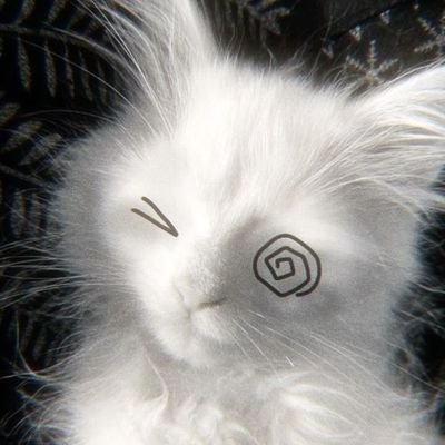 No_Name12345689's profile picture. ♡~☆shtwt 18☆~♡