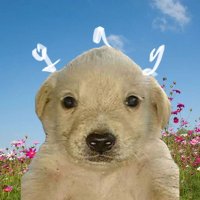 끼끼삡(상태: 두문불출) (@bp_hrt) 's Twitter Profile