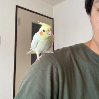 とみくん (@y_u_0823) 's Twitter Profile