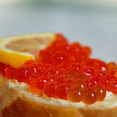 wata_jp_ohtov's profile picture. 