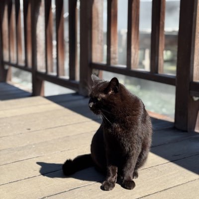04 Tokyo 生まれて良かったと心から思える日本でありたい