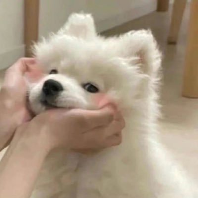 iwantobecugirls's profile picture. 