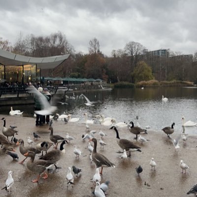 iili_22i's profile picture. 