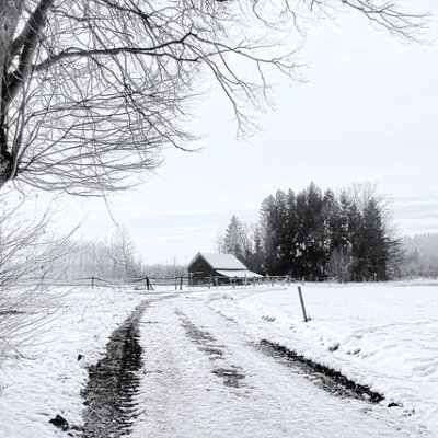 DnVn216934's profile picture. 