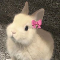 smoothie (@bnnsmoothiee) 's Twitter Profile