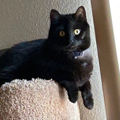 Daniboi03's profile picture. ( 21 ) Hey! so, I love watching movies and learning about films! 🎬 I love coffee! ☕ and as of right now, I am anxiously awaiting to see The Running Man (2025)