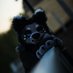 currently (@staticzatic) Twitter profile photo currently (@staticzatic) Twitter profile photo