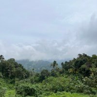 آمنة 🎓🤍 (@slixq9) 's Twitter Profile Photo