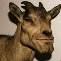 Daryla eunseom (@darylae14624) 's Twitter Profile