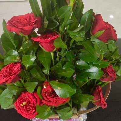 @surajsingh68521
