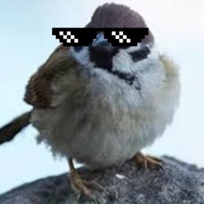 tapinikidazo's profile picture. 東方、学マス、warframeとか色々やってます！無言フォロー失礼します!garuda推しです！たまにcaptura撮ってます！(壁打ち多めユルシテネ)