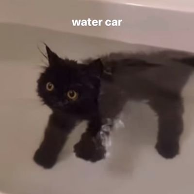 name0123e's profile picture. 고죠 짱 좋아함