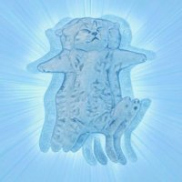 $flow state (@flow_onsol) 's Twitter Profile Photo $flow state (@flow_onsol) 's Twitter Profile Photo