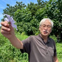 加藤道広(小説家うそ800系71歳) (@katomichihiro) 's Twitter Profile Photo 加藤道広(小説家うそ800系71歳) (@katomichihiro) 's Twitter Profile Photo