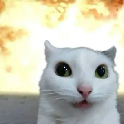 jajaniquette's profile picture. 