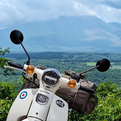 🛵スーパーカブ110/🎸ジャズマスター/📸G5X/🏕️ソロキャンプ|🚘️990S -2025.02|あなたにはあなた わたしにはわたしの お気に召すまま