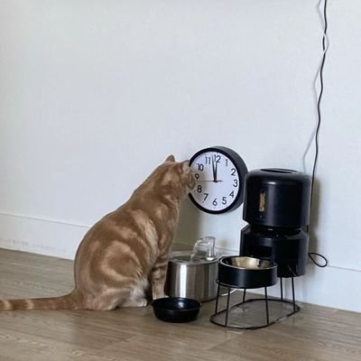 toni_jay00's profile picture. I am The Danger