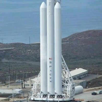 elonmusk_5719's profile picture. 🇺🇸 ❤️❤️