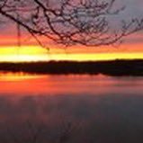 MarkRipchie_11x's profile picture. Trader/Investor/Portfolio Manager. Featured in 'Momentum Masters'. All thoughts, opinions, ideas and commentary are for education only.