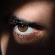 Spies are the eyes, ears, and nerves of the king. Without them, power collapses.