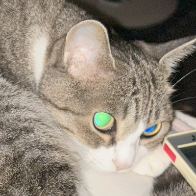 kingmijinko's profile picture. 興味のある分野 投資・経済・航空宇宙 プログラムー＞ほぼしなくなった。 ダイビングー＞しなくなった。
EA開発始めるー＞しなくなった・・・
他人にはどうでもイイ独り言ばかりで役に立つ話はあまり無いと思う。