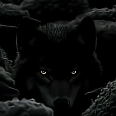 YaviYavi195864's profile picture. 