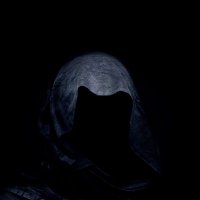 BasitX (@basitonx) 's Twitter Profile