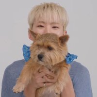 むち (@hm_____chi) 's Twitter Profile