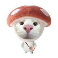แงวหัวเห็ดดดด🍄 (@meowmushroommm) 's Twitter Profile