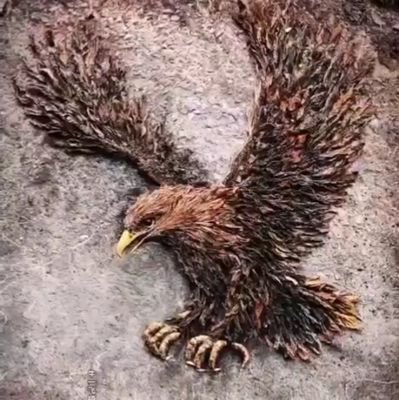🌴 Eagle Eye 🌴 Profile