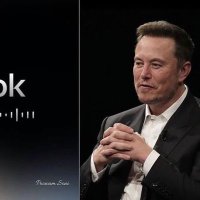 Elon 🆇 (@elon646151) 's Twitter Profile