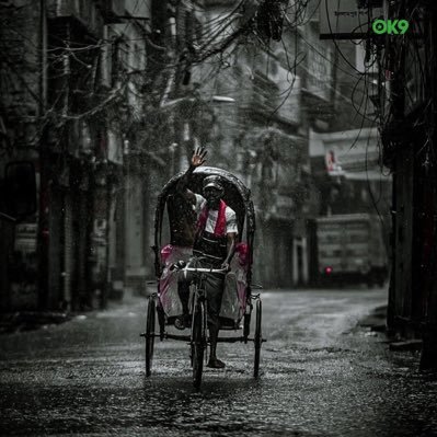 dzamhfBotHF's profile picture. 