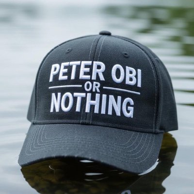 Obidients for Peter Obi. Civic Action to Counter Hate Speech and Violent Extremism both Online and Offline. #defyhatenow PO will secure and unite Nigeria