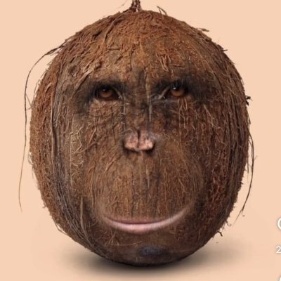 Brody4609528093's profile picture. 