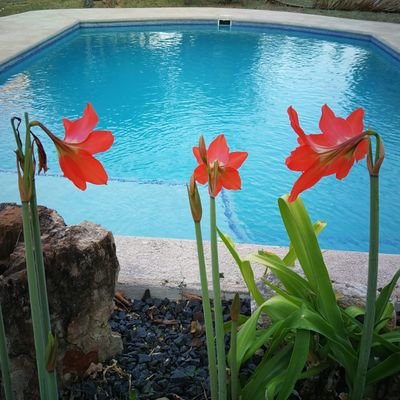 JTemith19459's profile picture. 