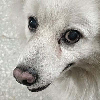-subject to change-さんのプロフィール画像