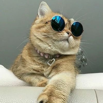 Çok pisim, bulaşırsan pisleşirsin...
IG: @happy__murray