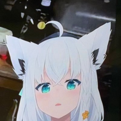 kicchan00301's profile picture. サブは動くかも この垢も少しずつ動かしていきます サブ@kicchan00301sub 1番奥(厳選あり)@kicchansubsub discord kitsuchiyan0356