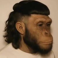Anticorrupción (@robosdelbarcafc) 's Twitter Profile