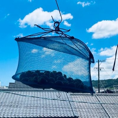 piroyuki_2007's profile picture. 10ヶ月ぶりに再開…。
