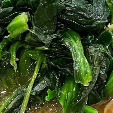 kbohoebosbobo's profile picture. 