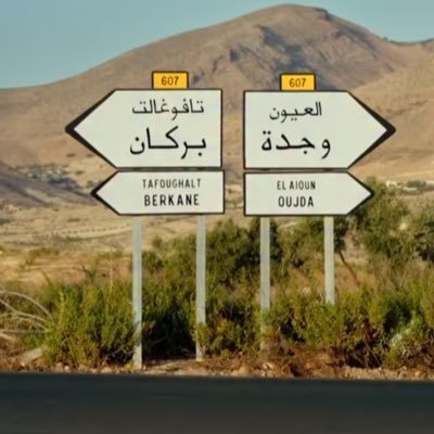 numeroo_siete's profile picture. 🇵🇸 #halamadrid