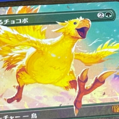 hi__mtg's profile picture. 岡山産。MTG,MTGA初心者🔰よろしくお願いします。 スタンダード,EDH