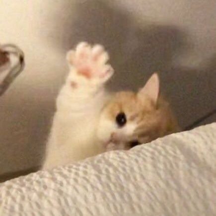 Bmbeamg555's profile picture. ชิวๆค๊นกั่นเอ๊งงงงง