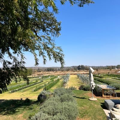 MeDateZim Profile